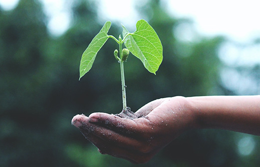 Ecología integral