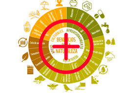 Imagen-infografia-servicios-proporcionados-por-la-naturaleza-270×190