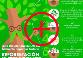Infografia-reforestacion-270×190